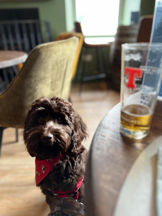 New Luce The Kenmuir Arms Hotel מראה חיצוני תמונה